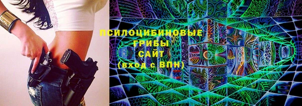 стафф Алзамай