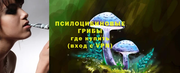 стафф Алзамай
