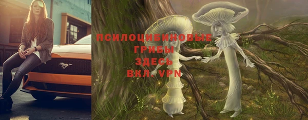не бодяженный Алексин