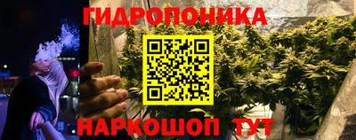 индика Балахна