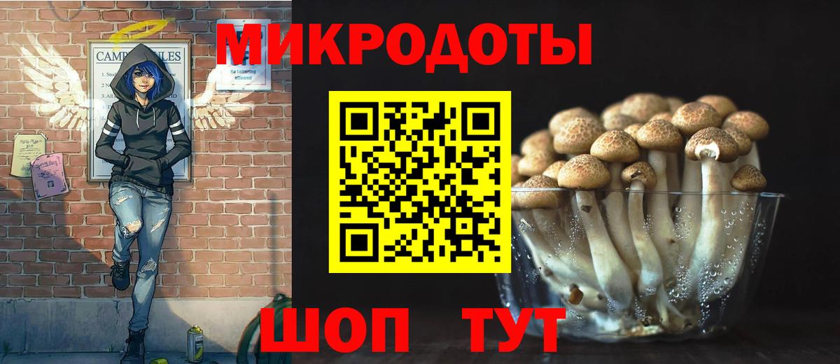 Псилоцибиновые грибы мухоморы Владивосток