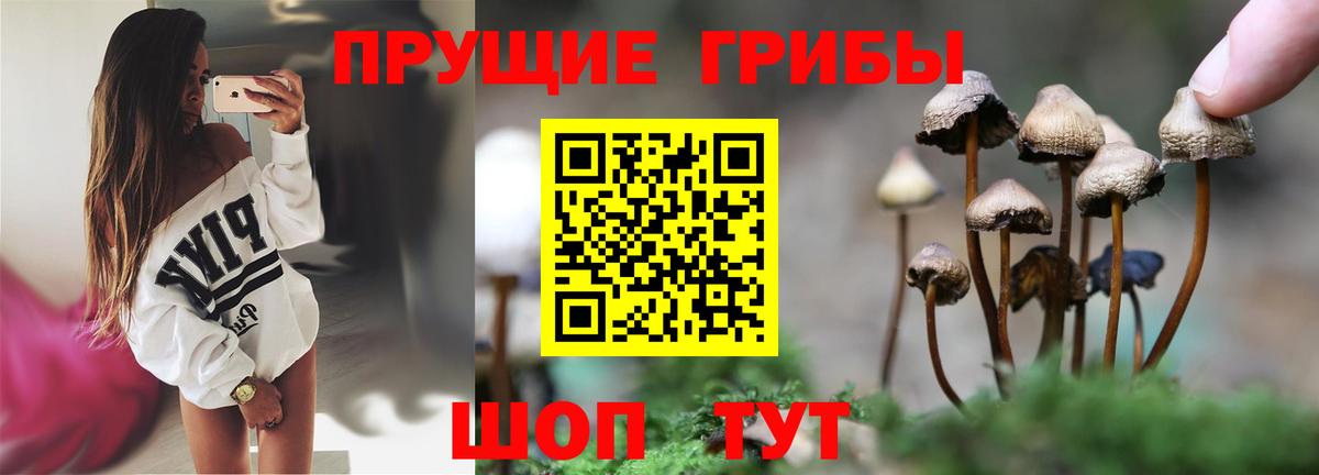 Псилоцибиновые грибы мицелий  Вход с VPN  Галлюциногенные грибы Magic Shrooms  Владивосток 